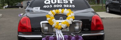 Limousine of Quest Limos decorated for wedding in Calgary AB
